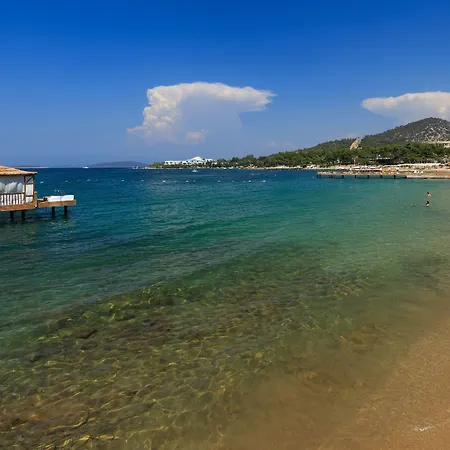 Vogue Supreme Bodrum