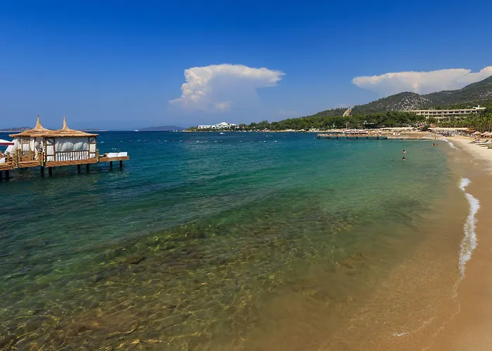 Vogue Supreme Bodrum